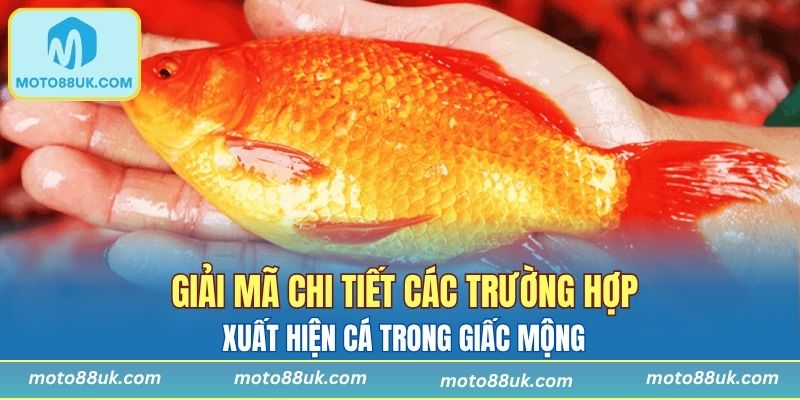 5 ý nghĩa bất ngờ khi mơ thấy cá