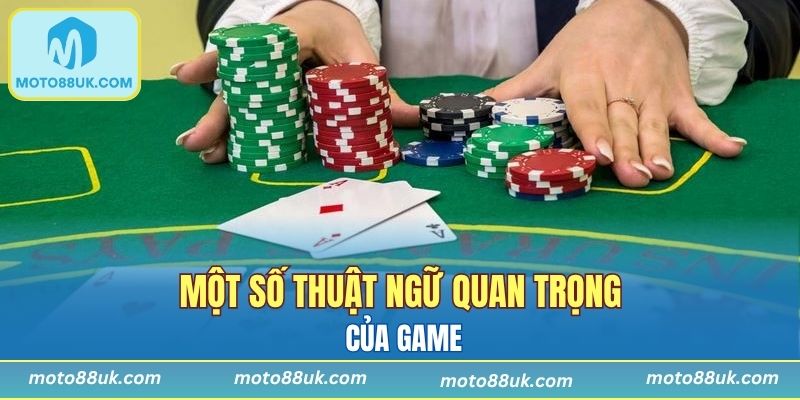 Một số thuật ngữ quan trọng của game