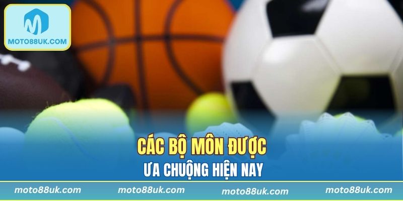Các bộ môn được ưa chuộng hiện nay
