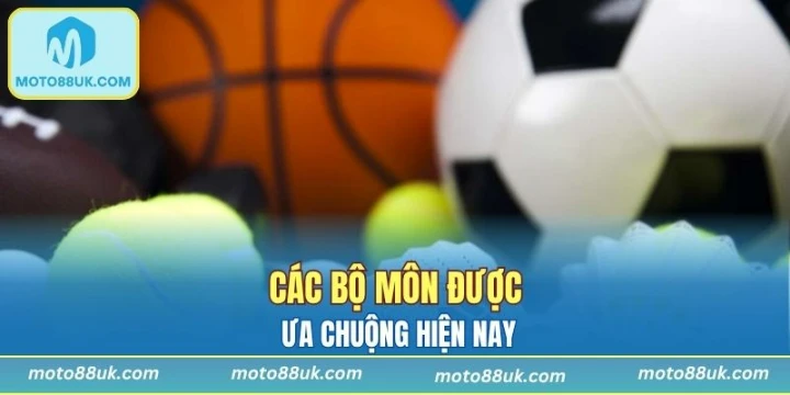 Các bộ môn được ưa chuộng hiện nay
