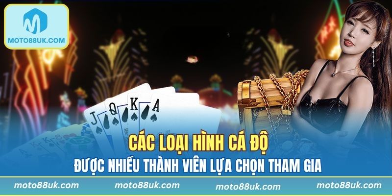 Các loại hình cá cược được yêu thích nhất tại nhà cái