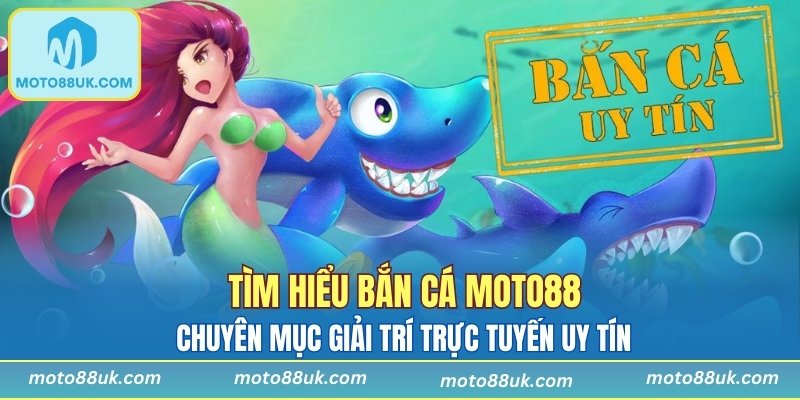 Chuyên mục giải trí trực tuyến uy tín