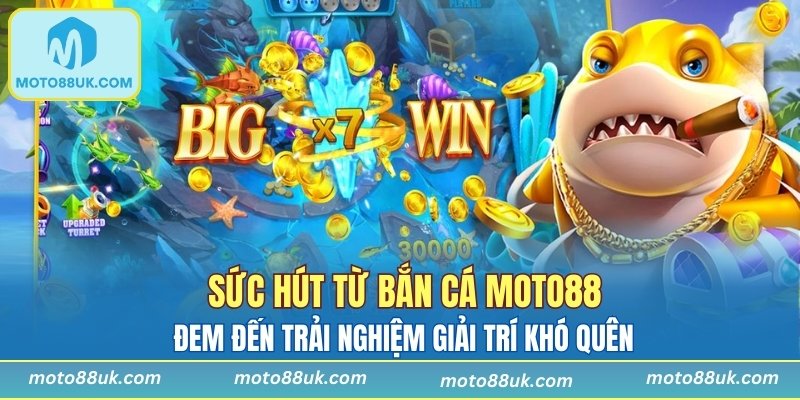 Đem đến trải nghiệm giải trí khó quên