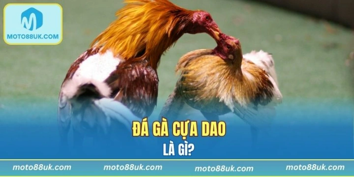 Dự đoán chính xác để nhận phần thưởng ngay