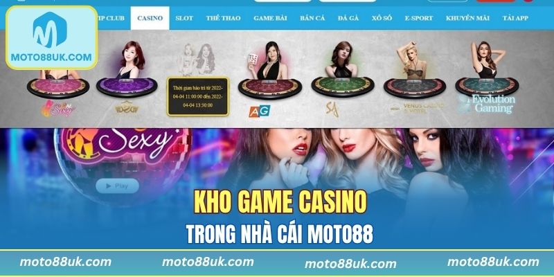 Cá cược casino hấp dẫn trong mọi giây phút