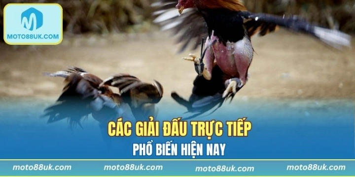 Giải Thomo được quan tâm hiện nay