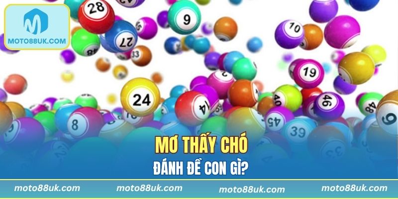 Lý Giải Giấc Mơ Thấy Chó Và Con Số Thích Hợp Để Đánh Đề