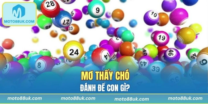 Lý Giải Giấc Mơ Thấy Chó Và Con Số Thích Hợp Để Đánh Đề