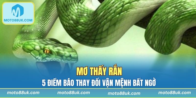 Mơ Thấy Rắn - 5 Điềm Báo Thay Đổi Vận Mệnh Bất Ngờ