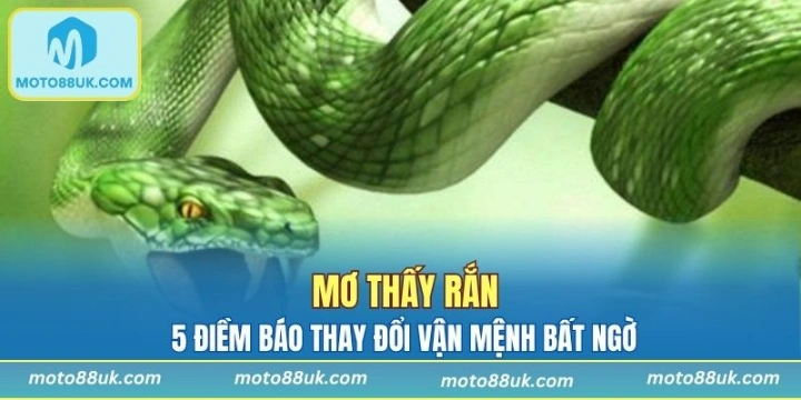 Mơ Thấy Rắn - 5 Điềm Báo Thay Đổi Vận Mệnh Bất Ngờ