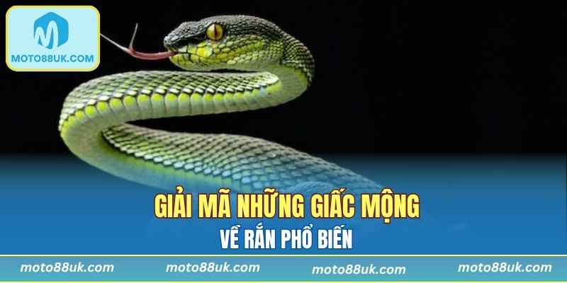Một số trường hợp nằm mộng phổ biến bạn nên biết
