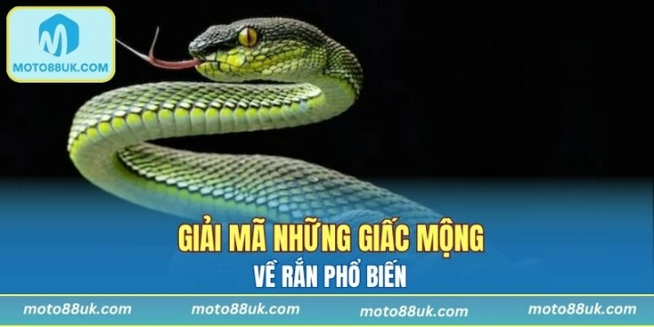 Một số trường hợp nằm mộng phổ biến bạn nên biết