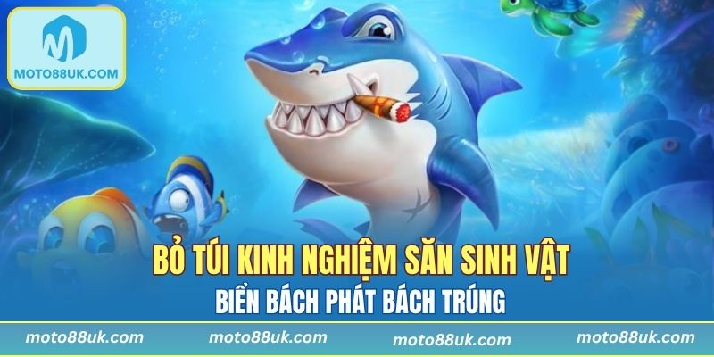 Tips chơi Bắn Cá 5 Sao bất bại