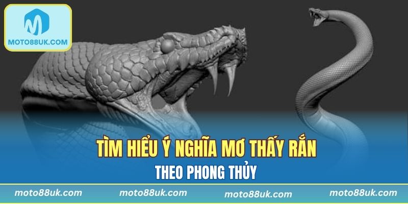 Ý nghĩa giấc mơ thấy rắn qua góc nhìn phong thuỷ